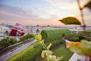 Qatar Tourism Reports