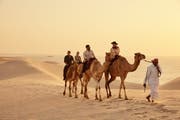 Tourist facilities