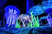 مهرجان "نور" للأضواء يواصل تقديم نماذجه وفعالياته المذهلة في درب لوسيل بنجاح