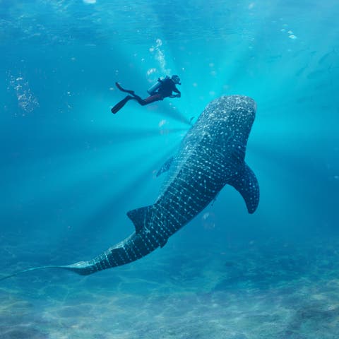 Experience a World Beyond: Qatar Tourism launches new campaign and continues its goal to welcome six million visitors by 2030