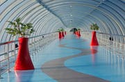 Qatar Tourism Reports