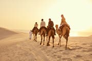 2018-12-07-Desert-Inland-sea-Camel-experience-0003.jpg